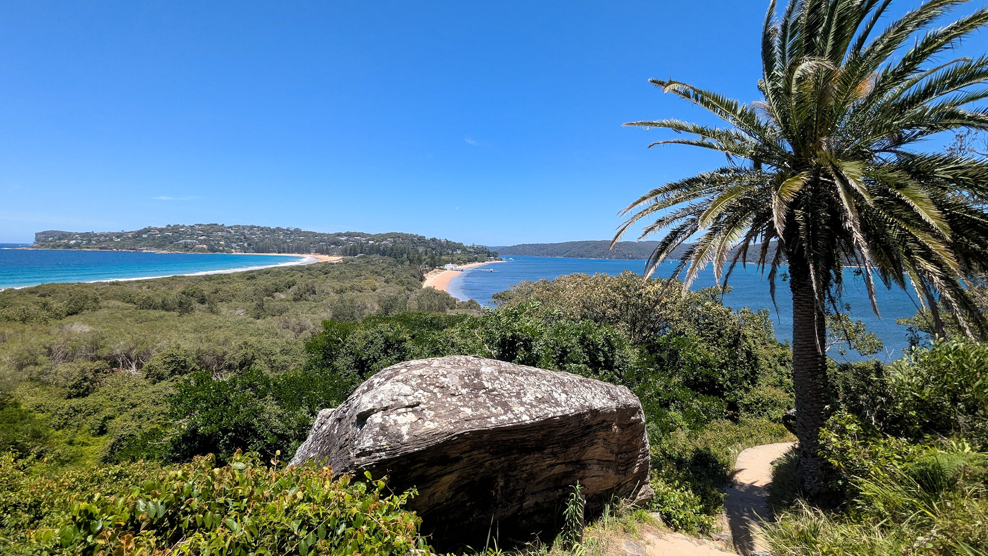 barrenjoey track (4)